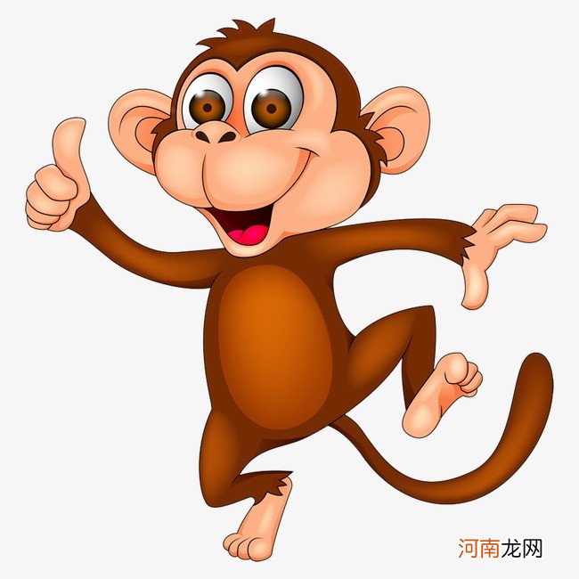 描写猴的成语 关于猴的成语有哪些