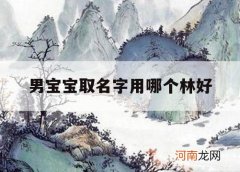 男宝宝取名字用哪个林好_如何给男孩取名字林