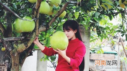 李子柒住在哪里视频中的婆婆是亲的吗？李子柒深扒农村生活太假