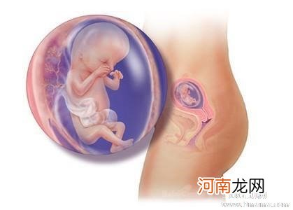 怀孕13周胎儿图大小及症状