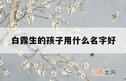 白露生的孩子用什么名字好_白露出生宝宝起名