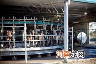 喝奶粉上火怎么办，三招帮宝宝清凉一夏