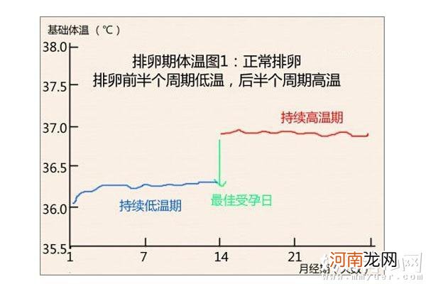 排卵试纸强阳后多久排卵 受孕后如何自我检测怀孕