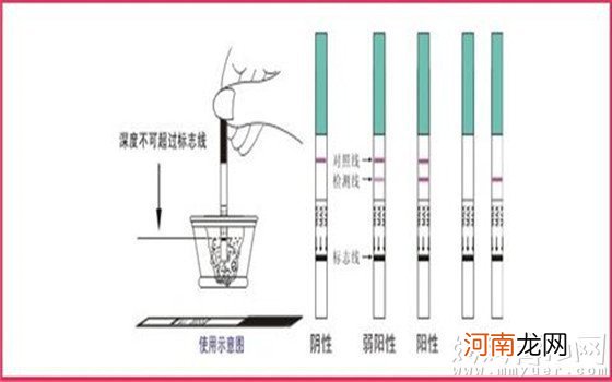 如何使用早孕试纸自测怀孕 检测怀孕的试纸图片