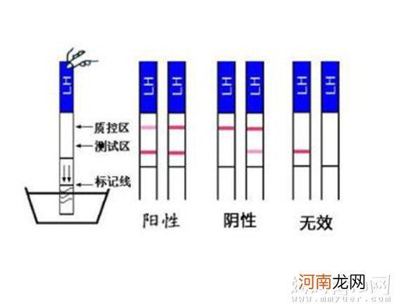 如何使用早孕试纸自测怀孕 检测怀孕的试纸图片