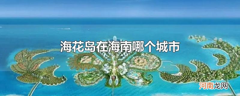 海花岛在海南哪个城市