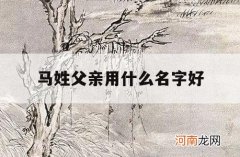 马姓父亲用什么名字好_姓马叫什么名字好