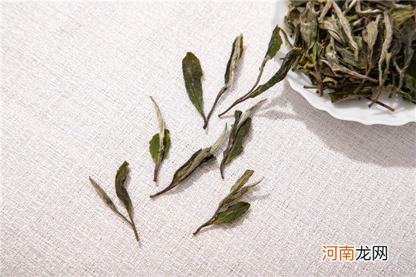 白茶茶汤滋味薄，寡淡如水，是因为新茶的缘故吗？