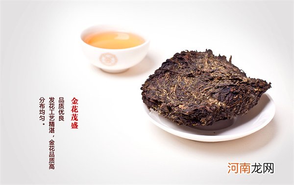 常喝黑茶能防止氟中毒？