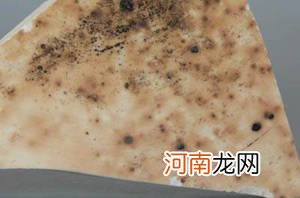 元代瓷器底足特征图片