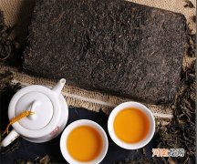 黑茶—云南普洱茶