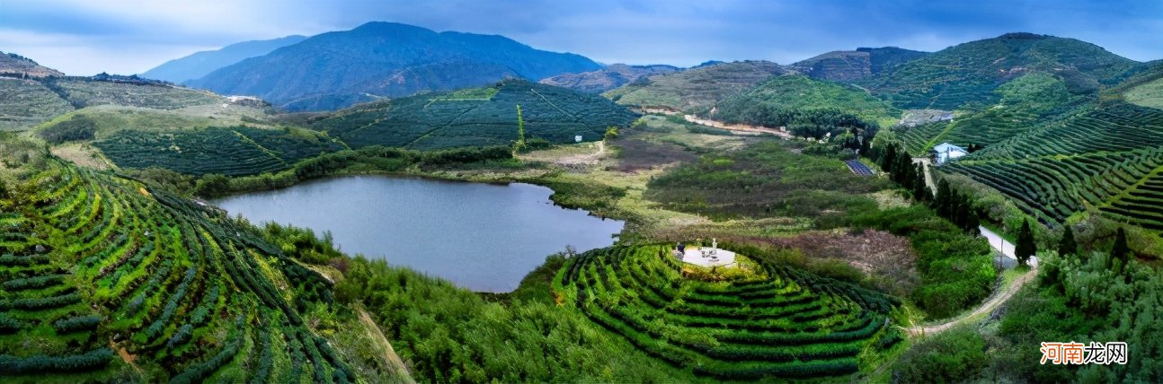 资深茶友也想喝的13种湖南茶 湖南茶叶有哪些品种