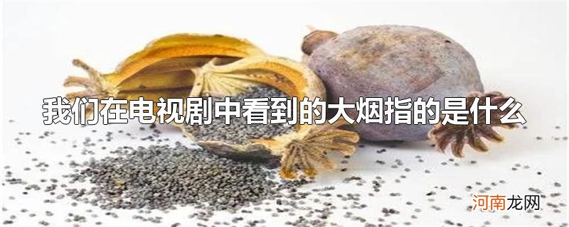 我们在电视剧中看到的大烟指的是什么