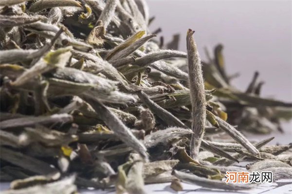 白茶储放常见问题