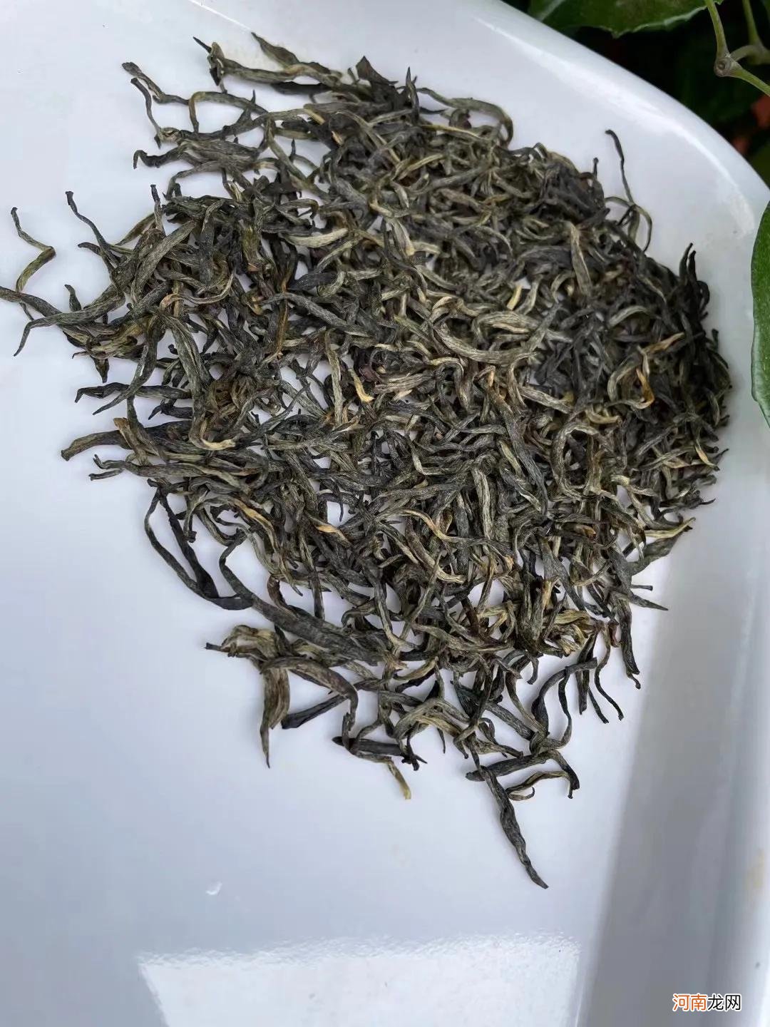 金骏眉茶叶价格