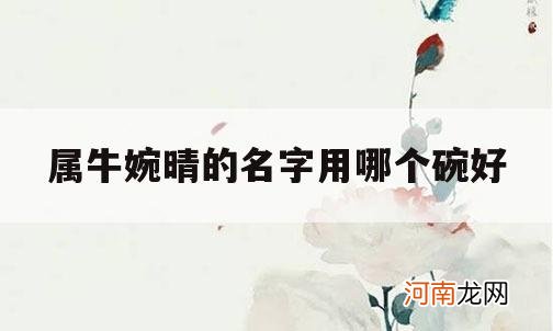 关于属牛婉晴的名字用哪个碗好的信息