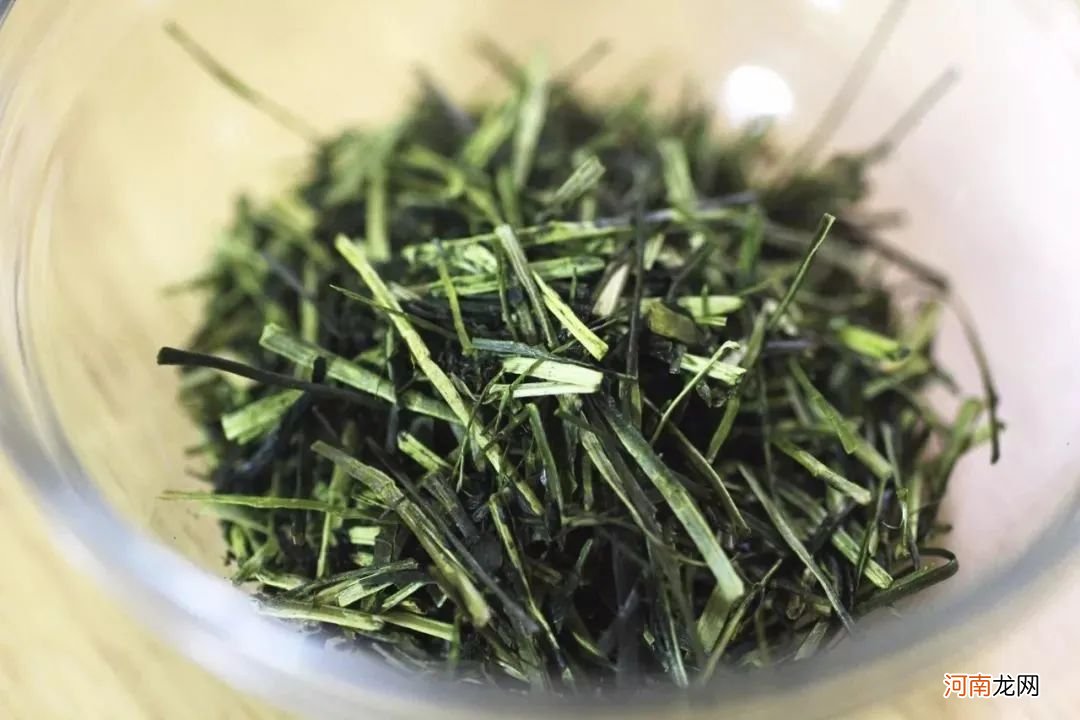 日本茶叶排行榜前十名