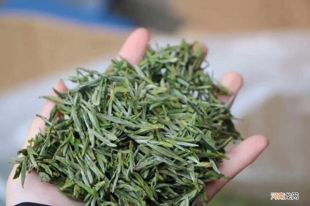 绿茶中的10大顶尖名茶 十大茶叶排名及图解