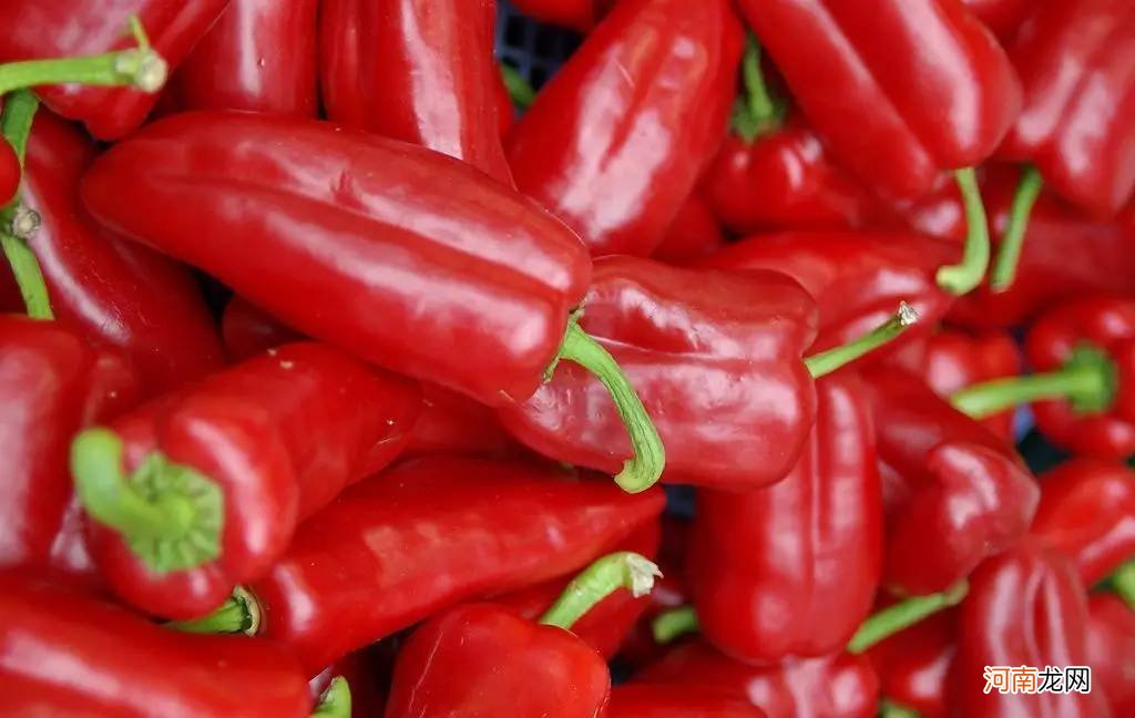 辣椒的营养价值及功效