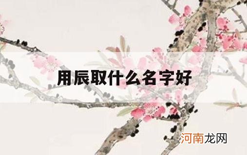 用辰取什么名字好_辰取什么名字好听