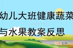 附教学反思 中班健康活动教案：蔬菜宝宝教案