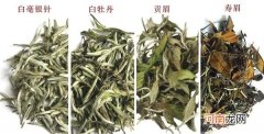 白茶中的花香种类是极多元的 白茶的品种香