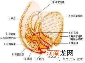 白带发红又不像血