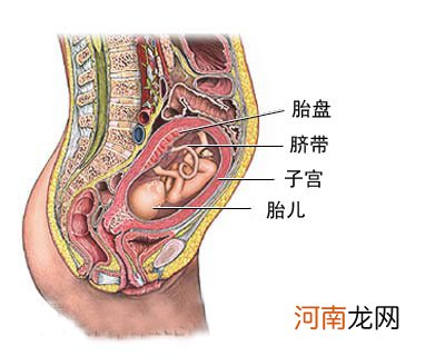 胎盘提前脱落会怎么样