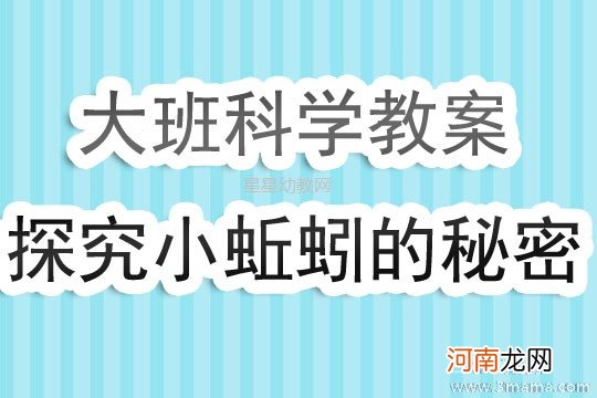 大班科学活动蚯蚓教案反思