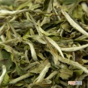 产地是影响白茶价格的主要原因 白茶价格与产地有关