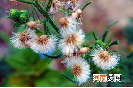 昆凌二胎孕照曝光，预产期就在这几天！预产期要怎么算？