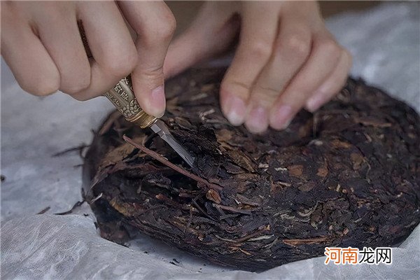 跟我一起看看白茶几百年的发展史 白茶简史