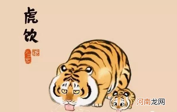有关老虎的十个搞笑段子 关于动物的经典搞笑段子