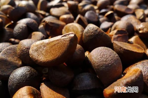 有价无市的茶籽油 茶叶籽油的价格多少