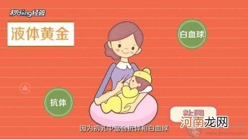 初乳是什么样子的