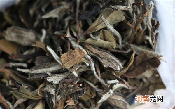 白茶泡茶时间 白茶泡多久