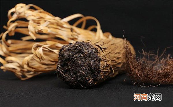 听听老茶客怎么说 黑茶金花的五个特别之处