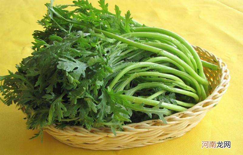 你知道蓬蒿菜是藜蒿菜吗？