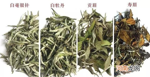 白茶三大品类及其主要特点