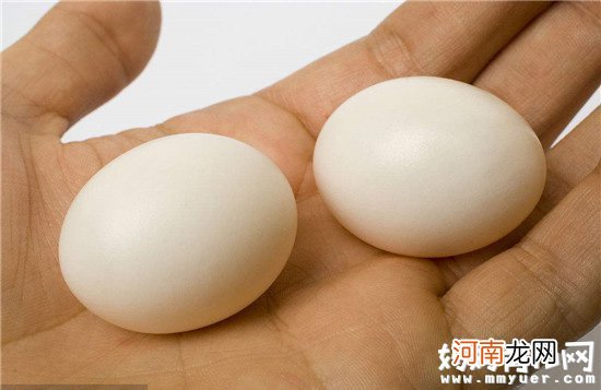 鸽子蛋具有很高的营养价值 孕妇可以吃鸽子蛋吗