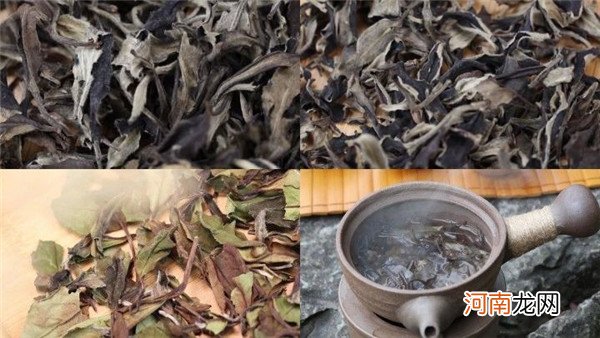 白茶被奉为茶中珍品 白茶为何是“一年茶、三年药、七年宝”
