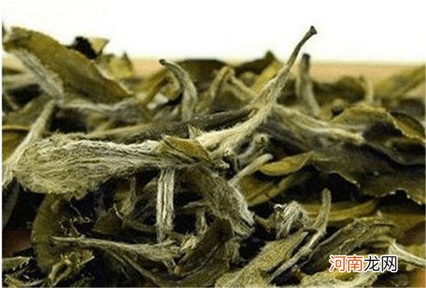 白茶被奉为茶中珍品 白茶为何是“一年茶、三年药、七年宝”