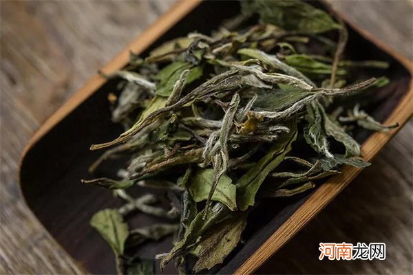 白茶有生茶与熟茶之分吗？ 白茶是生茶，还是熟茶？