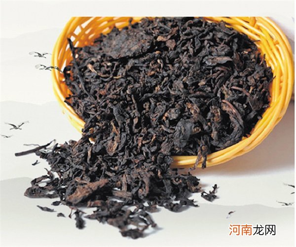 广受青睐的非遗“千两茶” 黑茶捆压成圆柱分“百两茶”“千两茶”