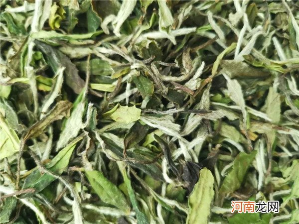 白茶经得起时间等候 白茶是什么茶，为何能经得起长时间储存？