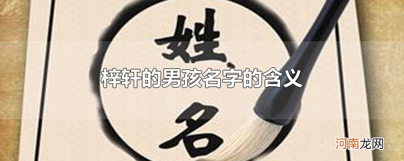 梓轩的男孩名字的含义