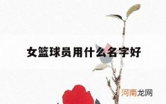 女篮球员用什么名字好_适合女生篮球队的名字