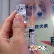 孕晚期能打狂犬疫苗吗