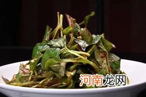 鱼腥草泡水喝的副作用