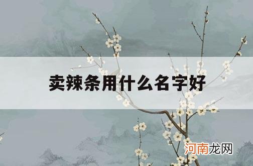 卖辣条用什么名字好_辣条店取名字